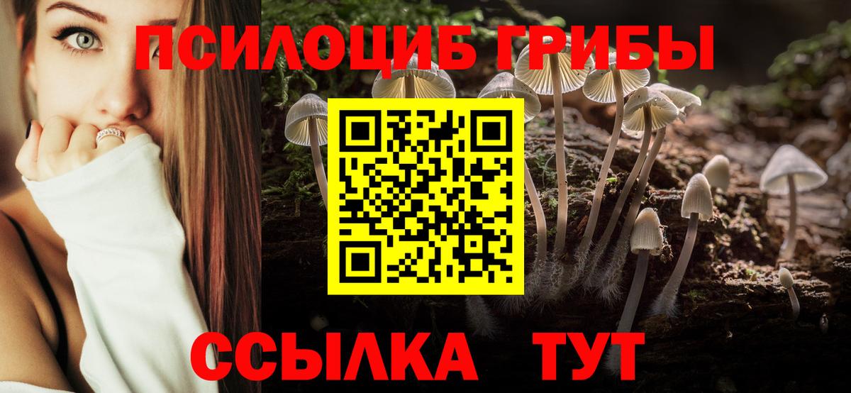 Буйнакск  как найти наркотики  Вход с VPN  Псилоцибиновые грибы ЛСД 